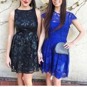 BB Dakota by Steve Madden Dress A Line Floral Mini Dress Sheer Black Sleeveless